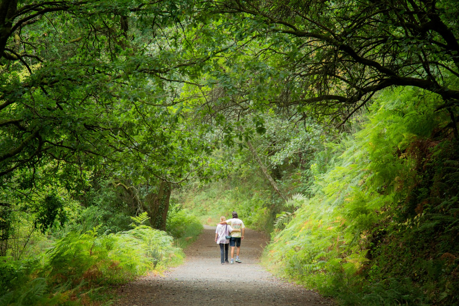 Couple walking together on a forest trail